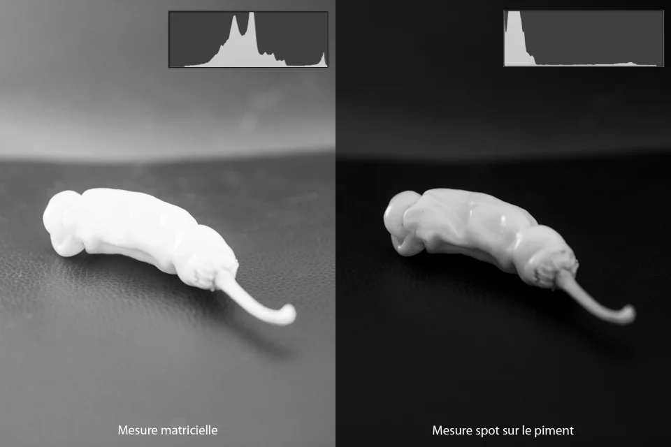 Comparaison en noir et blanc d’un piment blanc photographié sur fond sombre : à gauche, la mesure matricielle surexpose fortement le sujet ; à droite, la mesure spot effectuée sur le piment préserve les détails et les nuances.