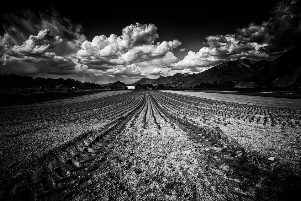 Lignes de terre
