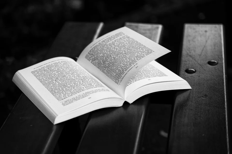 Pause lecture